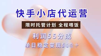 快手小店代运营，限时托管计划，收益55分，单日稳定变现多张【揭秘】-赛德副业库