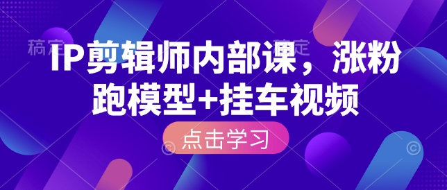 IP剪辑师内部课，涨粉跑模型+挂车视频（更新）-赛德副业库