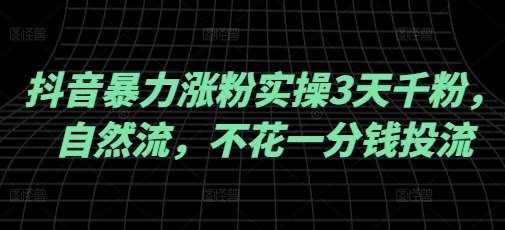 抖音暴力涨粉实操3天千粉，自然流，不花一分钱投流，实操经验分享-赛德副业库