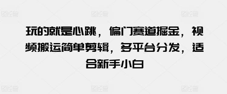 玩的就是心跳，偏门赛道掘金，视频搬运简单剪辑，多平台分发，适合新手小白【揭秘】-赛德副业库