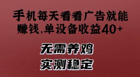 手机每天看看广告就能挣钱，单设备收益40+，无需养鸡，实测稳定【揭秘】-赛德副业库