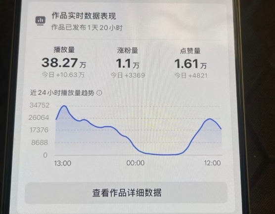 图片[2]-26年2月最新抖音起号涨粉教学，一分钟一个视频，7天上万粉，外面收费288-赛德副业库