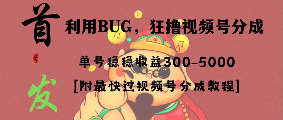 （8549期）全网独家首发，视频号BUG，超短期项目，单号每日净收益300-5000！-赛德副业库
