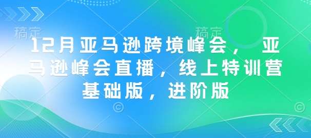 12月亚马逊跨境峰会， 亚马逊峰会直播，线上特训营基础版，进阶版-赛德副业库