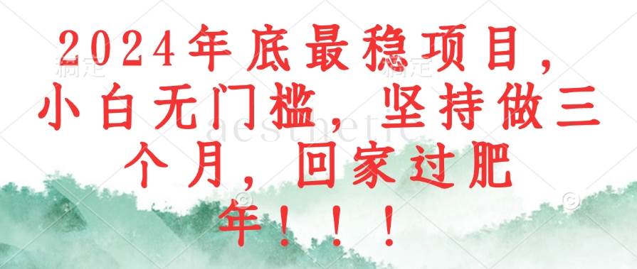 (12970期)2024年底最稳项目,小白无门槛,坚持做三个月,回家过肥年!!!-赛德副业库