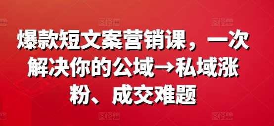 爆款短文案营销课，一次解决你的公域→私域涨粉、成交难题-赛德副业库