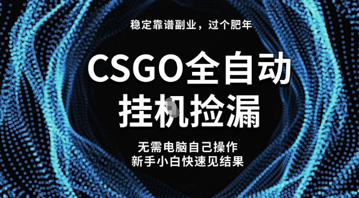 【稳定副业】全球最热门游戏CSGO全自动捡漏，最新玩法，新手小白日入5张+【揭秘】-赛德副业库