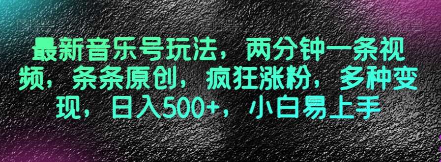 最新音乐号玩法，两分钟一条视频，条条原创，疯狂涨粉，多种变现，日入500+，小白易上手【揭秘】-赛德副业库