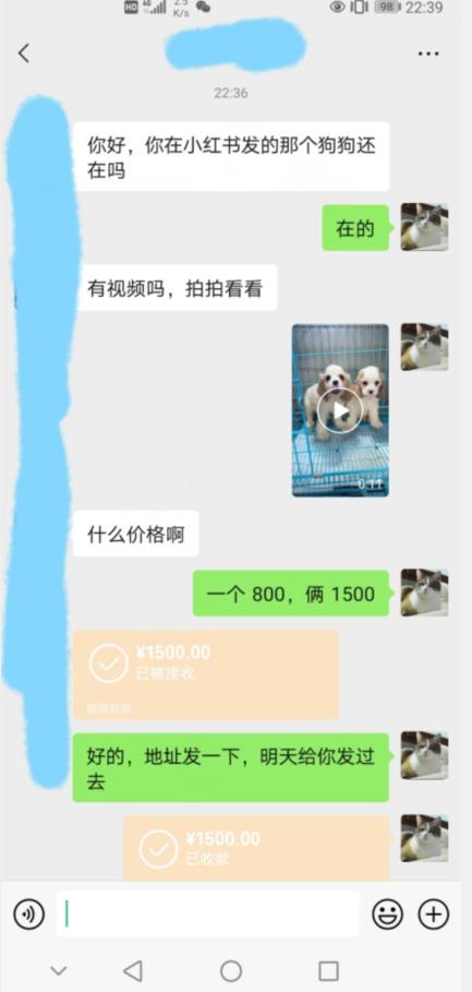 图片[2]-外边收费3980的同城萌宠项目，用最冷门的玩法冲击最热门的市场【揭秘】-赛德副业库