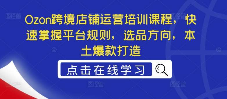 Ozon跨境店铺运营培训课程，快速掌握平台规则，选品方向，本土爆款打造-赛德副业库