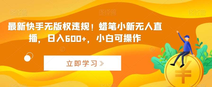最新快手无版权违规!蜡笔小新无人直播,日入600+,小白可操作【揭秘】-赛德副业库