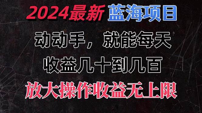 （11470期）有手就行的2024全新蓝海项目，每天1小时收益几十到几百，可放大操作收…-赛德副业库