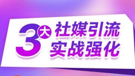 3大社媒引流实战强化，多渠道站外引流，高效精准获客，订单销售额翻倍增长-赛德副业库