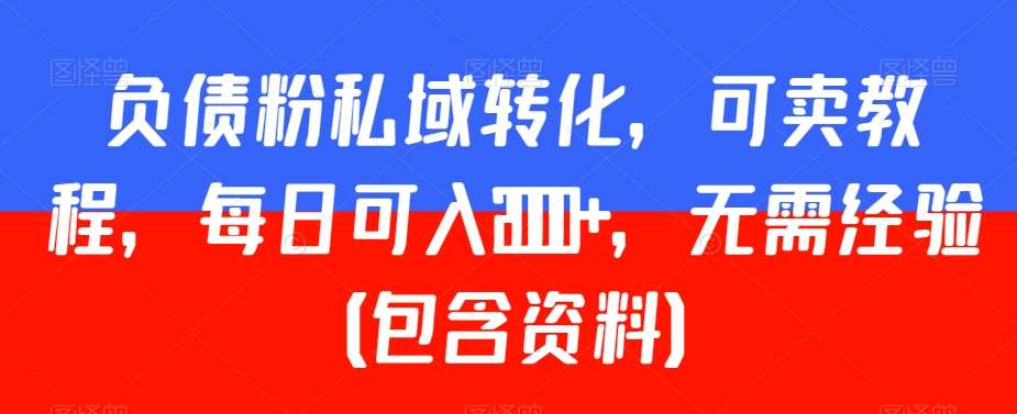 负债粉私域转化,可卖教程,每日可入2000+,无需经验(包含资料)【揭秘】-赛德副业库