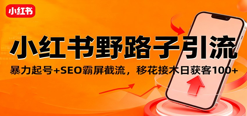 小红书野路子引流，暴力起号+SEO霸屏截流，移花接木日获客100+-赛德副业库