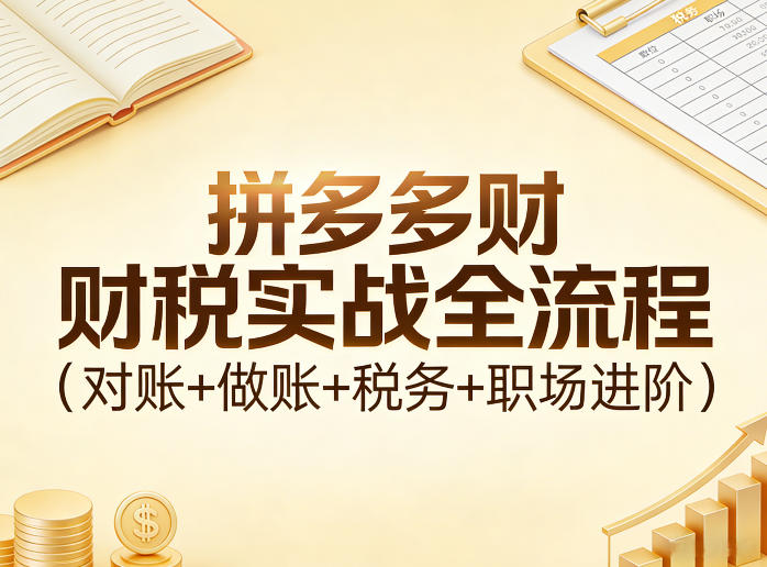 拼多多财税实战全流程（对账+做账+税务+职场进阶）-赛德副业库