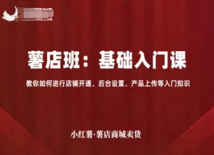 小红薯薯店商城卖货，基础入门课，教你如何进行店铺开通、后台设置、产品上传等入门知识-赛德副业库