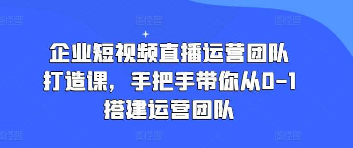 企业短视频直播运营团队打造课，手把手带你从0-1搭建运营团队-赛德副业库