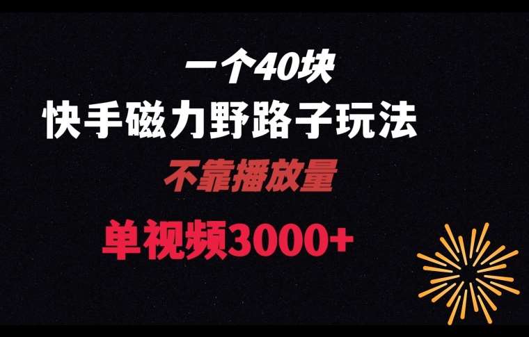 一个40块，快手联合美团磁力新玩法，无视机制野路子玩法，单视频收益4位数【揭秘】-赛德副业库