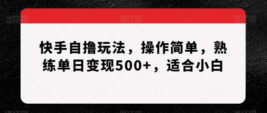快手自撸玩法，操作简单，熟练单日变现500+，适合小白【揭秘】-赛德副业库