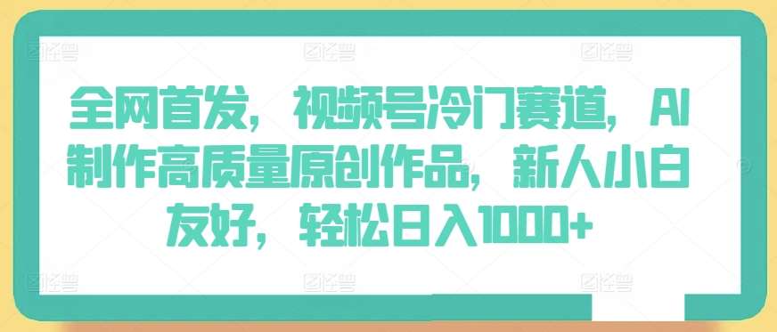 全网首发，视频号冷门赛道，AI制作高质量原创作品，新人小白友好，轻松日入1000+【揭秘】-赛德副业库