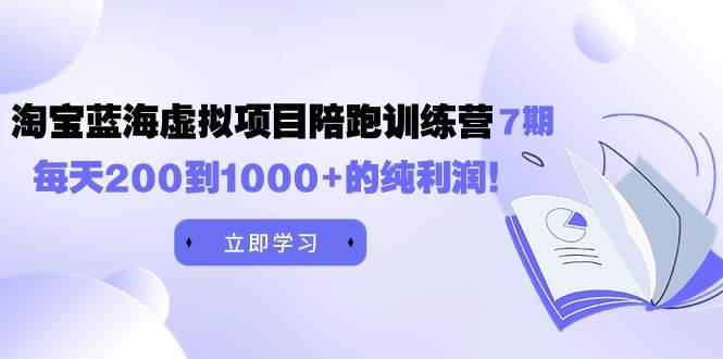 (9541期)黄岛主《淘宝蓝海虚拟项目陪跑训练营7期》每天200到1000+的纯利润-赛德副业库