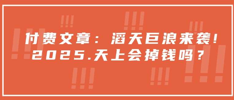 付费文章：滔天巨浪来袭！2025天上会掉钱吗？-赛德副业库