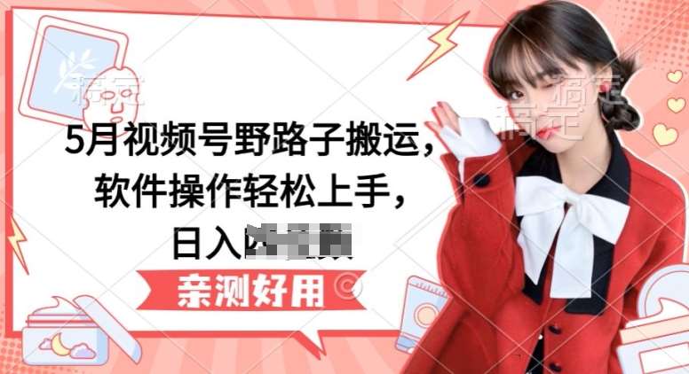 5月视频号野路子搬运,软件操作轻松上手,日入三位数【揭秘】-赛德副业库