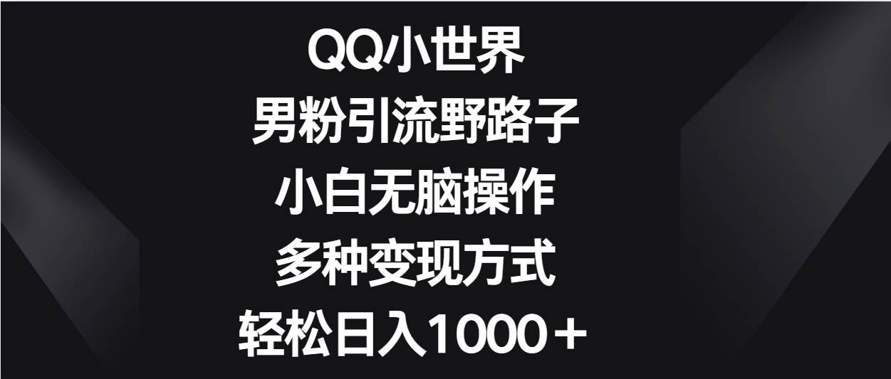 QQ小世界男粉引流野路子，小白无脑操作，多种变现方式轻松日入1000＋-赛德副业库