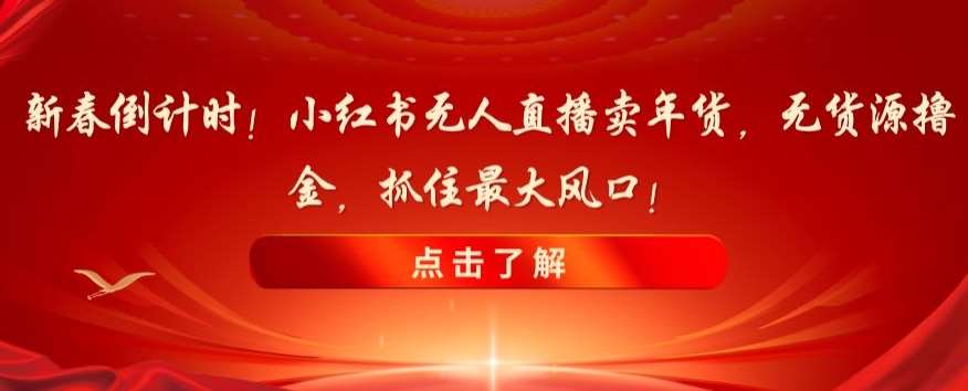 新春倒计时！小红书无人直播卖年货，无货源撸金，抓住最大风口【揭秘】-赛德副业库
