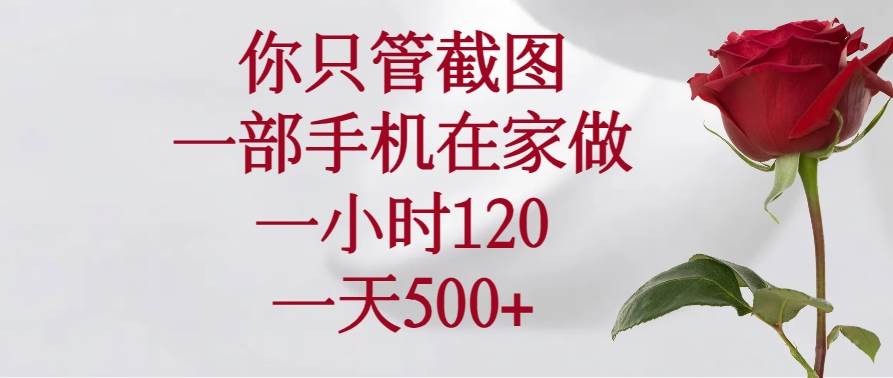 （14248期）你只管截图，一部手机在家做，一小时120，一天500+-赛德副业库