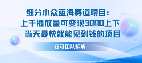 小众蓝海赛道项目:当天变现1k+适合新手操作 +适合长期玩-赛德副业库