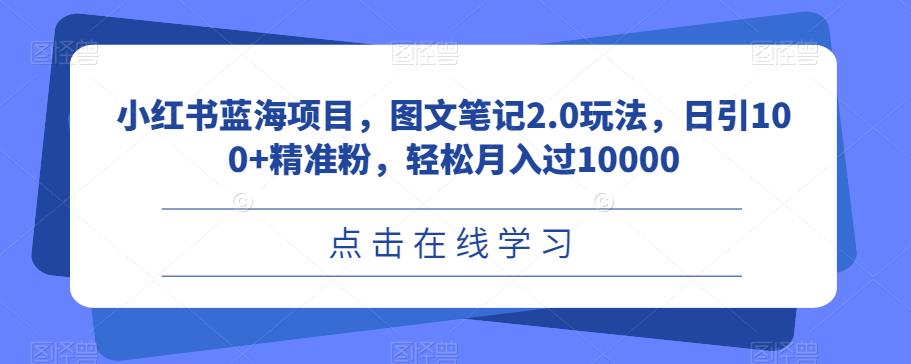 小红书蓝海项目，图文笔记2.0玩法，日引100+精准粉，轻松月入过10000【揭秘】-赛德副业库