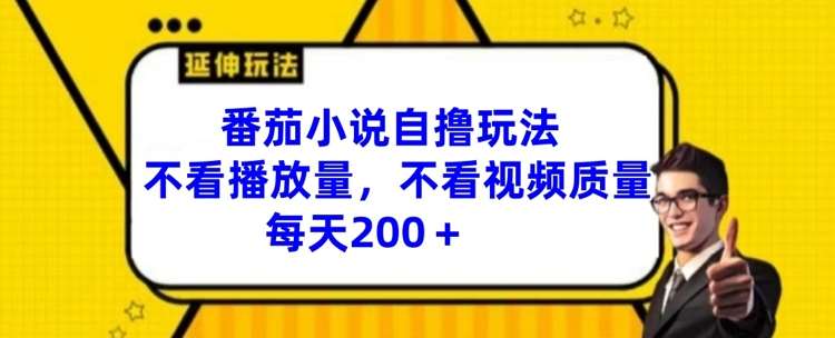 番茄小说自撸玩法，不看播放量，不看视频质量，每天200+【揭秘】-赛德副业库