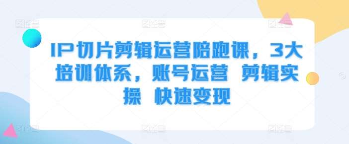 IP切片剪辑运营陪跑课，3大培训体系，账号运营 剪辑实操 快速变现-赛德副业库