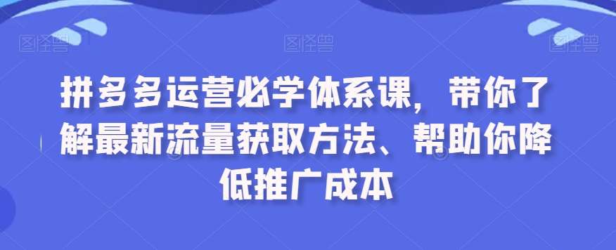 拼多多运营必学体系课，带你了解最新流量获取方法、帮助你降低推广成本-赛德副业库