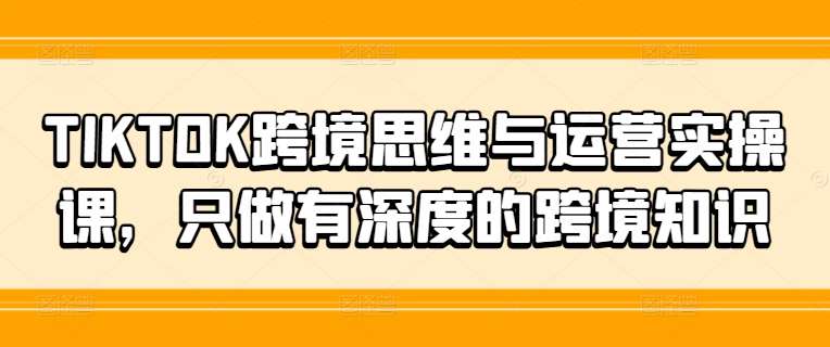 TIKTOK跨境思维与运营实操课,只做有深度的跨境知识-赛德副业库