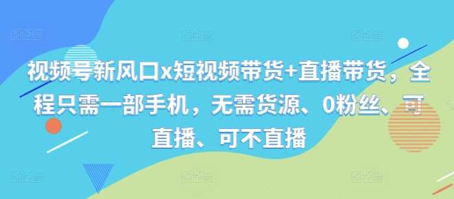 视频号新风口x短视频带货+直播带货，全程只需一部手机，无需货源、0粉丝、可直播、可不直播-赛德副业库