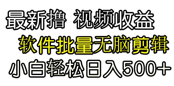 （9569期）发视频撸收益，软件无脑批量剪辑，第一天发第二天就有钱-赛德副业库