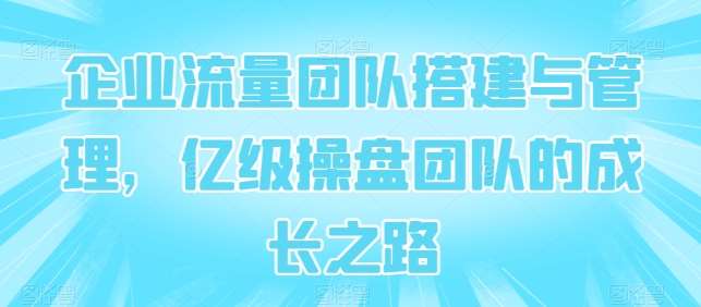 企业流量团队搭建与管理，亿级操盘团队的成长之路-赛德副业库
