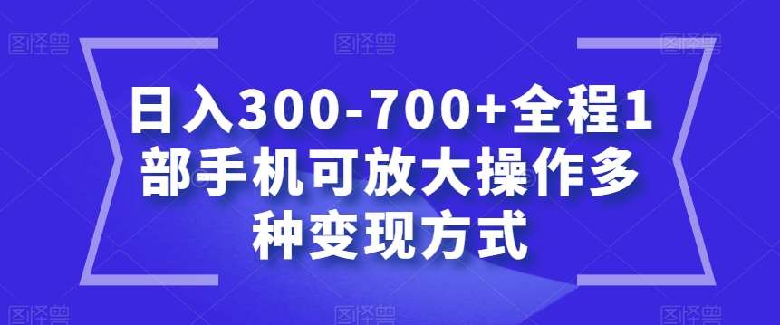 日入300-700+全程1部手机可放大操作多种变现方式【揭秘】-赛德副业库