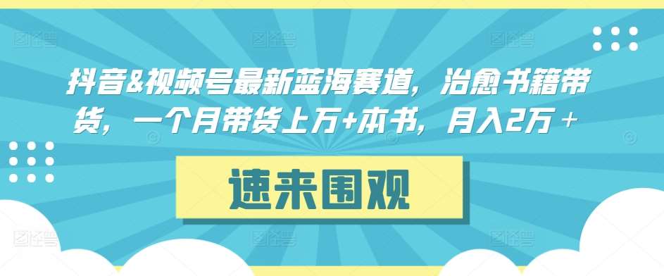 抖音&视频号最新蓝海赛道，治愈书籍带货，一个月带货上万+本书，月入2万＋【揭秘】-赛德副业库