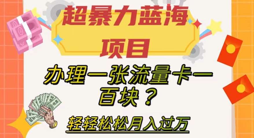 超暴力蓝海项目，办理一张流量卡一百块？轻轻松松月入过万，保姆级教程【揭秘】-赛德副业库