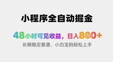 小程序全自动掘金，48小时可见收益，日入8张+长期稳定靠谱，小白宝妈轻松上手【揭秘】-赛德副业库