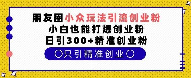 朋友圈小众玩法引流创业粉,小白也能打爆创业粉,日引300+精准创业粉【揭秘】-赛德副业库