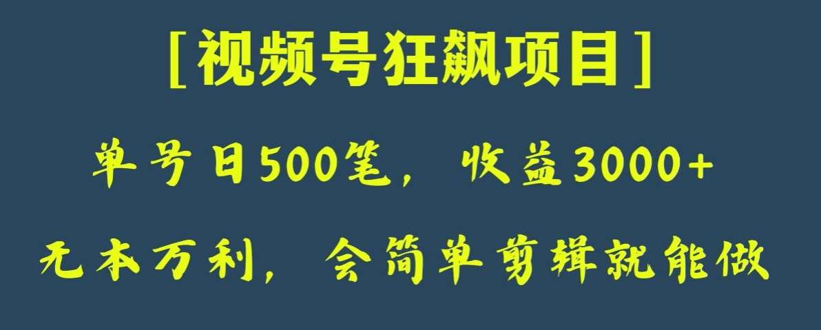 日收款500笔，纯利润3000+，视频号狂飙项目，会简单剪辑就能做【揭秘】-赛德副业库