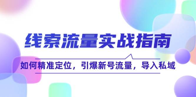（12382期）线 索 流 量-实战指南：如何精准定位，引爆新号流量，导入私域-赛德副业库