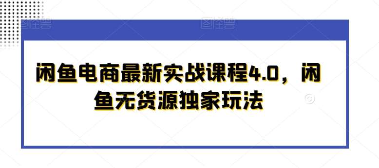 闲鱼电商最新实战课程4.0，闲鱼无货源独家玩法-赛德副业库