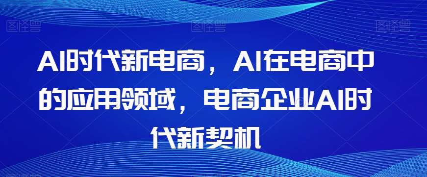 Al时代新电商，Al在电商中的应用领域，电商企业AI时代新契机-赛德副业库