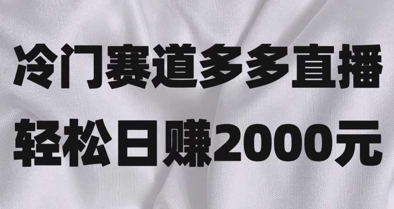 冷门赛道拼多多直播，简单念稿子，日收益2000＋【揭秘】-赛德副业库